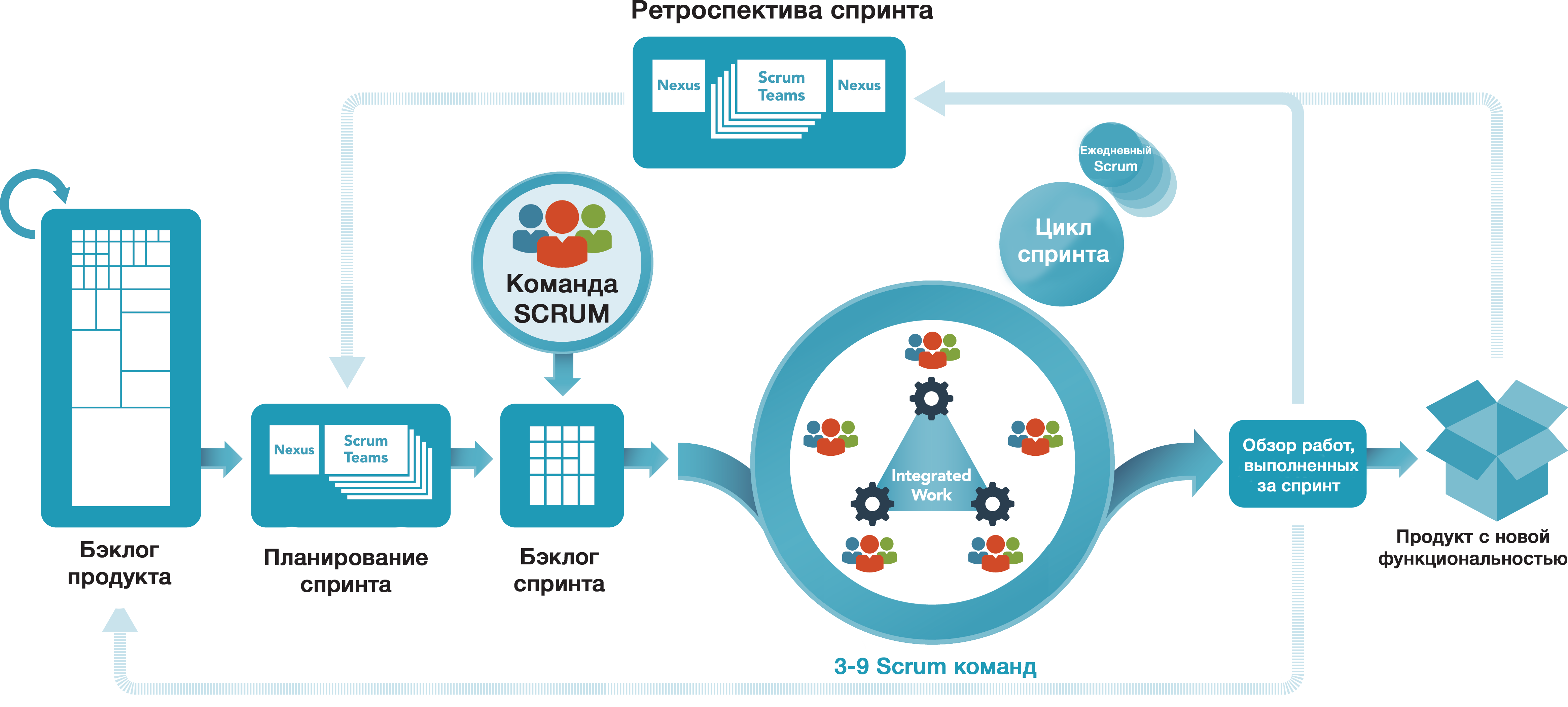 Принципы SCRUM в управлении проектами.